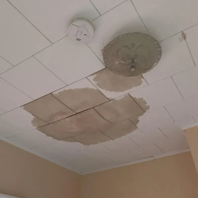 Ceiling Water Damage Repair in Landen, OH