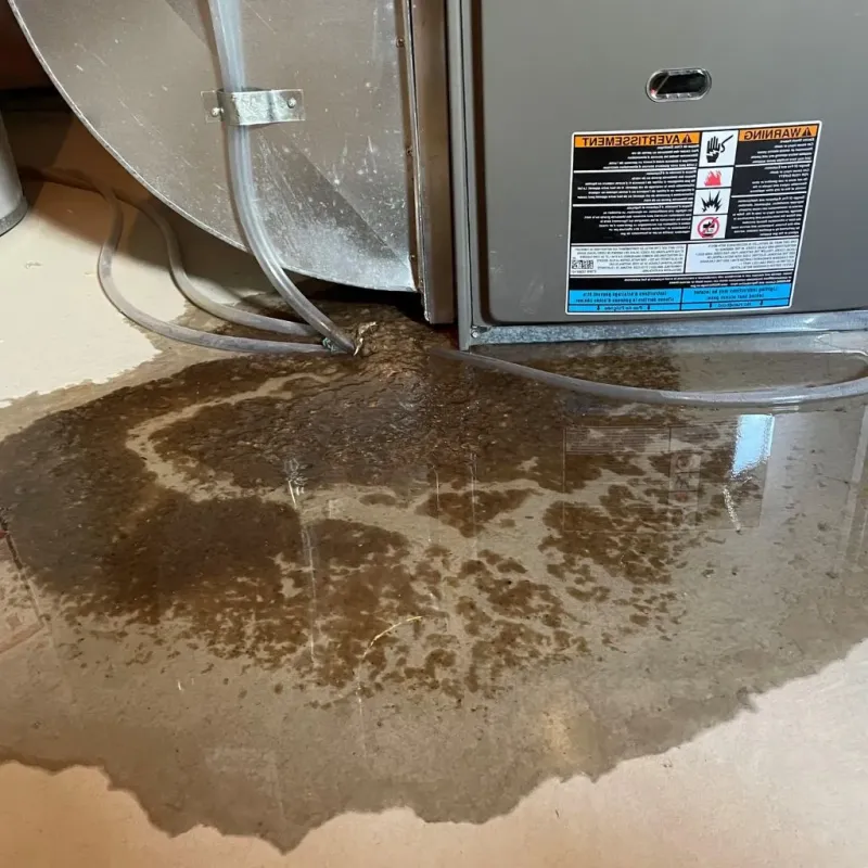 Pipe Burst and Leak Restoration in Landen, OH