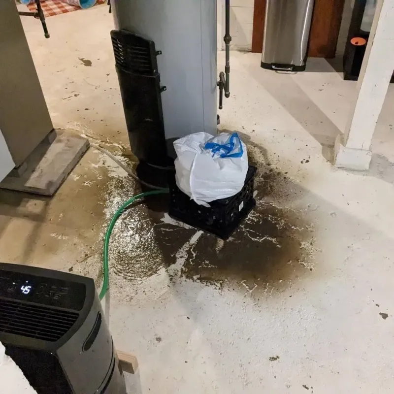 Sewage Backup Cleanup Service in Landen, OH